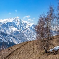 Март. Снег постепенно сходит... :: Сергей Мурзин