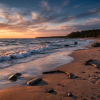 Финский залив осенью на закате :: Лилия 