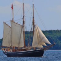 Приятная прогулка под парусами :: В.И 