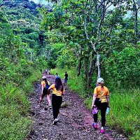 ОРГАНИЗОВАННЫЙ   ПОХОД :: Анатолий Малобродский