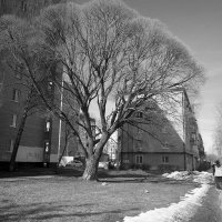 Март 2026 :: Владимир Носов