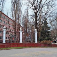 Красивые решётки! :: Надежда 