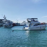 Морпорт :: Serega SchütZ