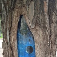 про.... :: Елена Шаламова