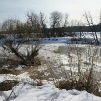 Ледоход на Протве :: Сергей Курников