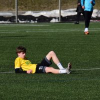 И пусть весь футбол подождёт. :: Наталья Вязигина