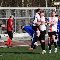 Радость победного мяча. :: Наталья Вязигина