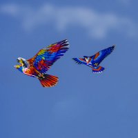 Под облаками :: Анатолий Чикчирный