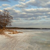 * :: Светлана Воробьева