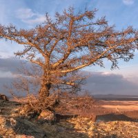 В лучах заката :: Марина Фомина.