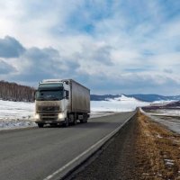 **** :: Алексей Мезенцев