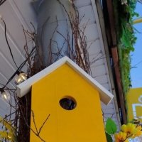 Весеннее оформление :: светлана льдокова