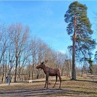 Человек, собака, лось :-) :: Лия ☼