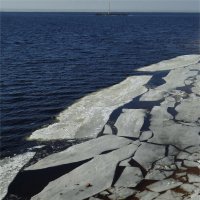 прибились :: sv.kaschuk 