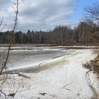 весна :: ИННА ПОРОХОВА