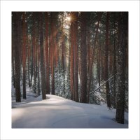 * :: Александр Иванов