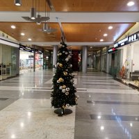 Вспомним зиму. :: Владимир Драгунский