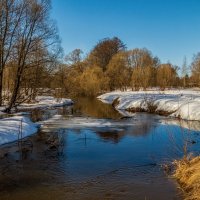 Вешние Воды 5 :: Андрей Дворников