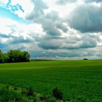 Лето. :: Владимир 