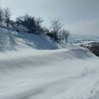 Ak Bulak.  Talgar. :: Murat Bukaev 