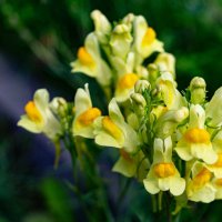 Когда очень нравится Солнце... :: Алексей Бабицын