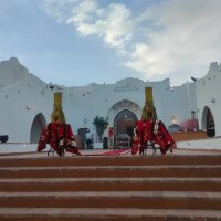 Египет. Шарм-эль-Шейх :: Ирэн 