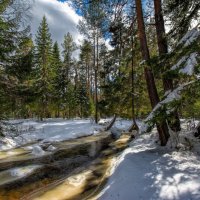 Весенний пейзаж :: Vladimbormotov 