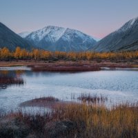 Уж небо осенью дышало :: Дмитрий Шишкин