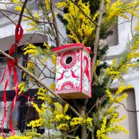 Какой нарядный скворечник!) :: Галина Бобкина