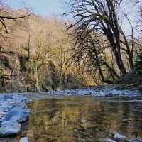 СОЛОХ АУЛ. МАРТ :: Tata Wolf