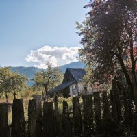 КРАСНАЯ ПОЛЯНА :: Tata Wolf