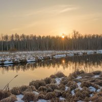 Пейзаж реки Тёплой :: Дарья Меркулова