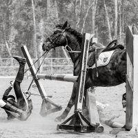 Конкур :: SanSan 