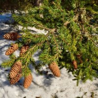 - :: Владимир Мигонькин