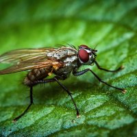 *   *   * :: Уже не важно ...