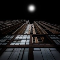 Ввысь! :: Игорь Шевченко