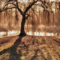 ***** :: Андроник Александр