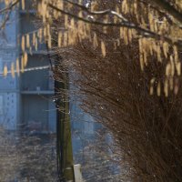 Прогулка. :: Константин Белоногов