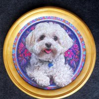 Мальтезе :: genar-58 '