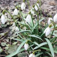 ,,, :: Сергей Тимоновский