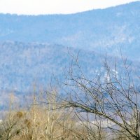 сопки :: Наталья Штанулина