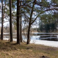 Последний лёд. :: Геннадий Порохов