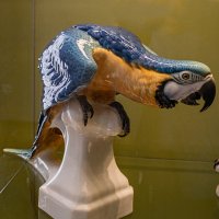 Попугай :: Ирина Соловьёва