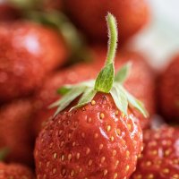 Свежа, вкусна и ароматна... :: Лилия *