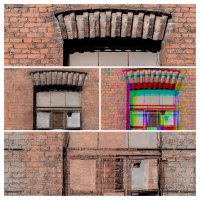 Лицо :: Илья Шенгелия