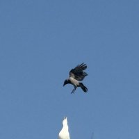 В бой роковой мы вступили с врагами, :: Сергей Б.