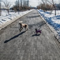 Весна в парке Малевича.. :: Юрий Яньков