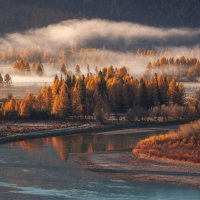 Золотая осень :: Sergey38 