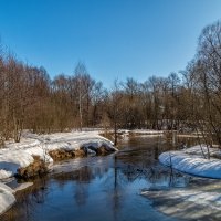 Вешние воды 7 :: Андрей Дворников