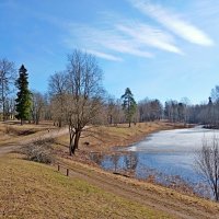 На берегу озера. :: Лия ☼